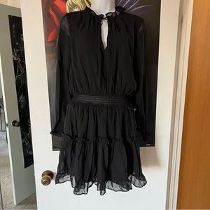 NSR Sheer Black Long Sleeve Dress